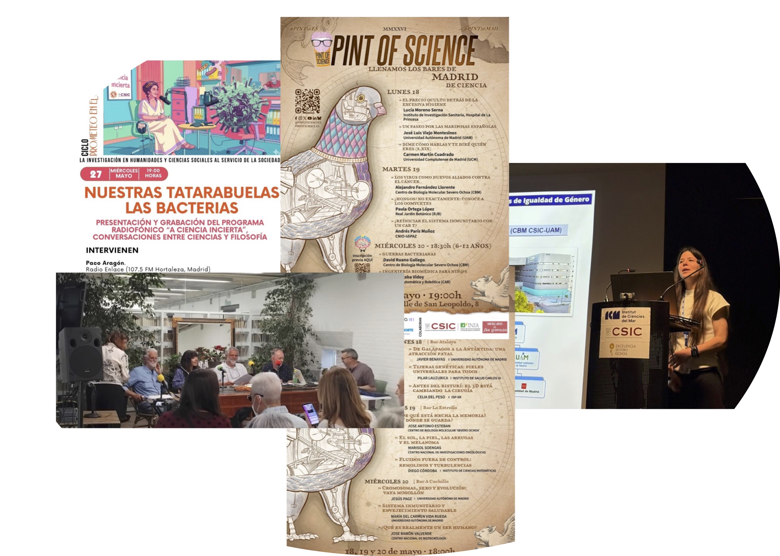 Outreach activities of IUBM members